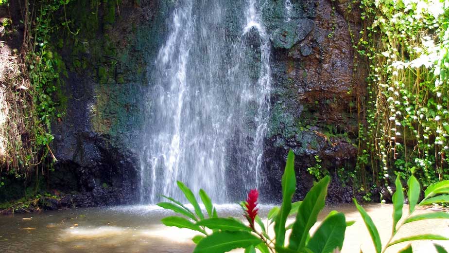 gardens of Vaipahi