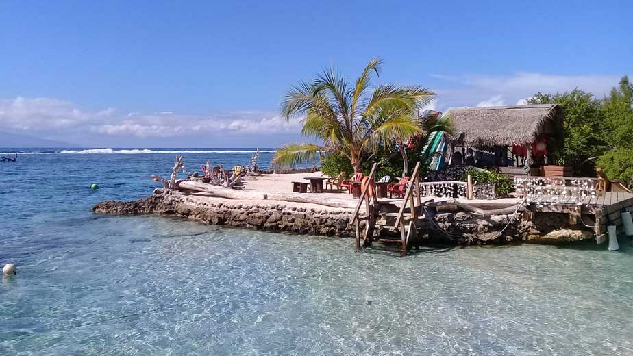 lagoonarium-moorea-ahi-motu Lagoonarium Moorea