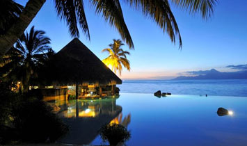 cat-Restaurant-Le-Lotus-Tahiti Restaurant Le Lotus Tahiti