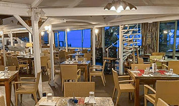 cat-blue-banana-restaurant Blue Banana Restaurant