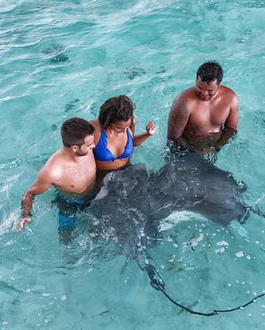 Bora-Bora-snorkeling-Tour-with-Sharks-and-Stingrays