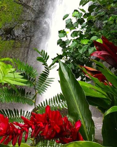 Half-Day Guided Hike to Afareaitu Waterfall