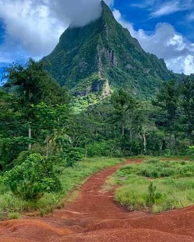 Moorea Half-Day Tour in a Small Group