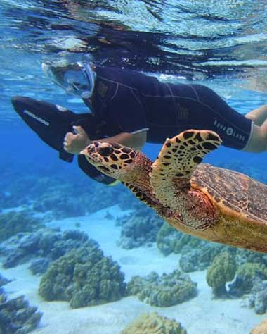 Sea-Scooter-Jet-snorkeling-Moorea-Reef-Adventure Sea Scooter Jet snorkeling "Moorea Reef Adventure"