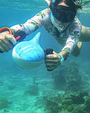 Sea Scooter Snorkel Tour - Lagoon, Wrecks, Coral Gardens