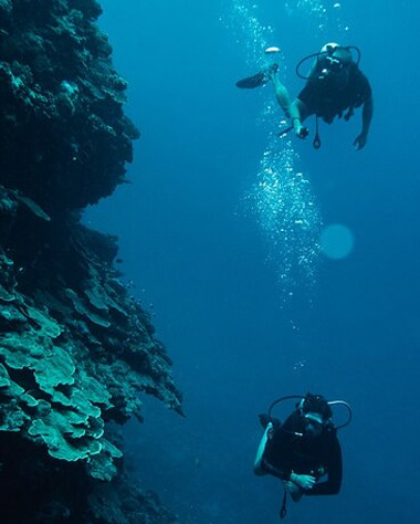 Tahiti-Certified-Scuba-Dive Tahiti Certified Scuba Dive