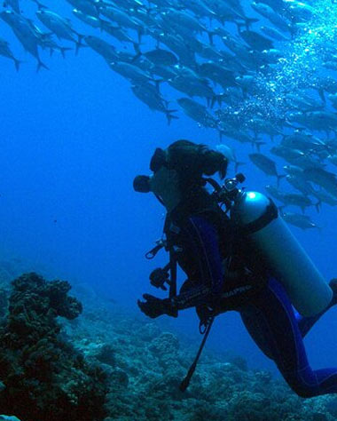Tahiti-Diving-Excursions-Tours Tahiti Diving Excursions Tours