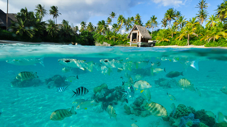 bora-bora-lagoonarium Bora Bora Lagoonarium