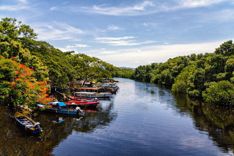 Jamaica river with boats